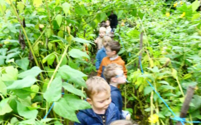 dans le jardin de Mathurin