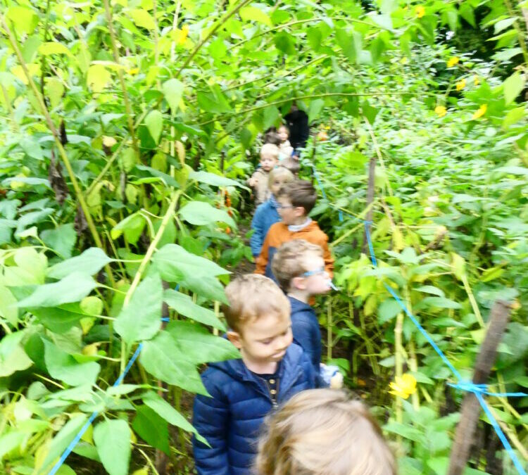 dans le jardin de Mathurin